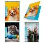 CF6 CARTELLA 3 LEMBI BABY DORSO 1 (0110125)