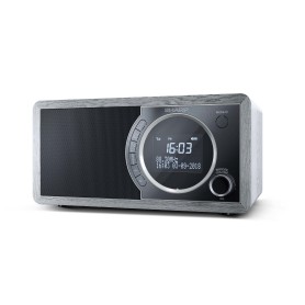 Sharp DR-450 Personale Digitale Grigio, Acciaio inox (DR-450GR)