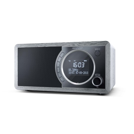 Sharp DR-450 Personale Digitale Grigio, Acciaio inox (DR-450GR)
