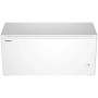 Liebherr CFE 2500 PURE Congelatore orizzontale a libera installazione CFe2500 (997024651)