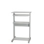 ROLINE PC Standing Workstation Forma rettangolare Metallo, Plastica Grigio, Bianco (17.02.1545)