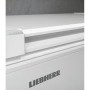 Liebherr CFE 2500 PURE Congelatore orizzontale a libera installazione CFe2500 (997024651)
