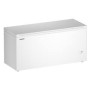 Liebherr CFE 2500 PURE Congelatore orizzontale a libera installazione CFe2500 (997024651)