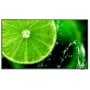 NEC MultiSync E658 165,1 cm (65") IPS 4K Ultra HD Nero (60005059)