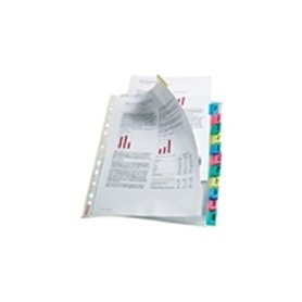 Esselte Index Pockets album fotografico e portalistino Trasparente (414170)