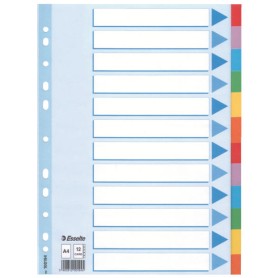 Esselte Multi-coloured Cardboard Dividers divisore 10 pz (100194)