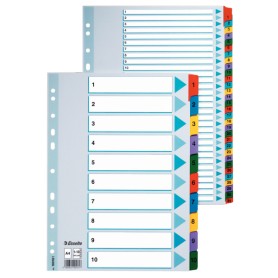 Esselte Carton Index divisore 1 pz (100166)