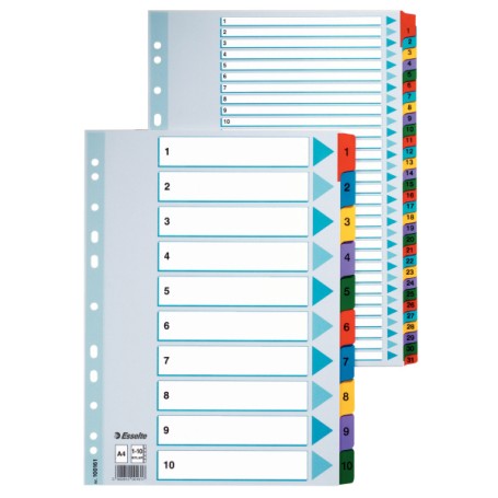 Esselte Carton Index divisore 1 pz (100166)