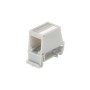 Panduit CADIN1IG Placca copripresa e copri interruttori Grigio (CADIN1IG)