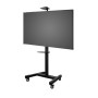 CARRELLO VESA 800X600 (OM07147)