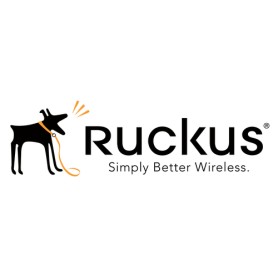 RUCKUS Networks S28-0001-1LSG estensione della garanzia 1 anno/i