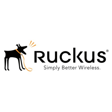 RUCKUS Networks S28-0001-1LSG estensione della garanzia 1 anno/i