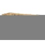Ricoh 842142 cartuccia toner 1 pz Originale Nero (842347)