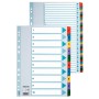 Esselte Carton Index divisore 1 pz (100166)