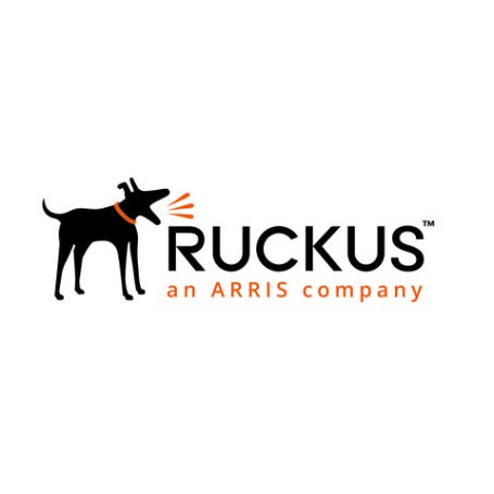 RUCKUS Networks S08-0001-1LSG licenza per software/aggiornamento 1 licenza/e 1 anno/i (S08-0001-1LSG)