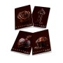 CF10 CHOCOLATE A4 100GR R.5M FF38 (02333675M)