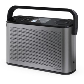 RADIO DIGITALE OSAKA STEREO (DR-P540GY)