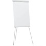 Franken EL-FC20 blocco per lavagne e accessori Libera installazione 680 x 1050 mm Grigio chiaro (EL-FC20)