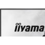 iiyama G2441HSU-B1 Monitor PC 60,5 cm (23.8") 1920 x 1080 Pixel