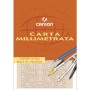 Canson C200005824 carta da disegno Foglio d'arte 10 fogli (C200005824)