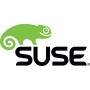 Suse Linux Enterprise Workstation Extension, 1 Y Client Access License (CAL) 1 anno/i (874-006953)