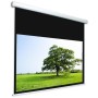 TELO PROVIS 190X119 PROVIS MOTORIZZ 16:10 (PRV51295)