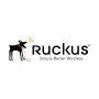 RUCKUS Networks Advanced Hardware Replacement 1 anno/i (823-RU51-1000)