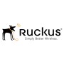 RUCKUS Networks 909-0001-ZD12 licenza per software/aggiornamento 1 licenza/e