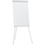 Franken EL-FC20 blocco per lavagne e accessori Libera installazione 680 x 1050 mm Grigio chiaro (EL-FC20)