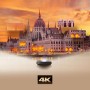 Hisense PT1 Smart TV Wi-Fi Nero (20016800)