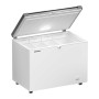 Liebherr EFL 3056-21 Congelatore orizzontale 82,5 x 104,5 cm