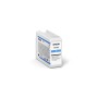 Epson SureColor SC-P900 Roll Unit Promo (C11CH37401BR)