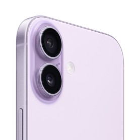 Apple iPhone 17 16 cm (6.3") Doppia SIM iOS 26 5G USB tipo-C 256 GB Lavanda (MG6M4ZD/A)