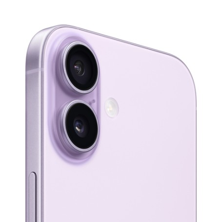 Apple iPhone 17 16 cm (6.3") Doppia SIM iOS 26 5G USB tipo-C 256 GB Lavanda (MG6M4ZD/A)
