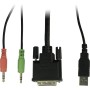 Inter-Tech KVM-AS-21DA DVI switch per keyboard-video-mouse (kvm) Nero (88887200)