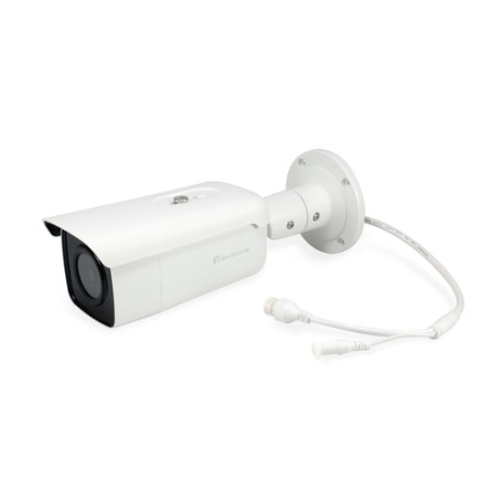 LevelOne FCS-5092 telecamera di sorveglianza Telecamera di sicurezza IP Interno e esterno Capocorda 2560 x 1656 Pixel (FCS-5092)