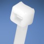 Panduit Cable Tie, 7.4"L (188mm), Standard, Nylon, Natural, 100pc fascetta (PLT2S-C)