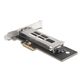 DeLock Wechselrahmen PCI Express Karte fr 1 x M.2 NMVe SSD (47028)