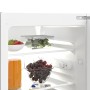 BEKO B1804FN, frigorifero di dimensioni standard (88 nicchie)