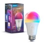 Smart Light Bulb (H6009)
