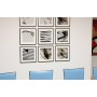 GOW Bilderkralle (8 Stck) (545953)