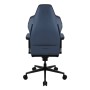 ThunderX3 CORE Smart Ergonomischer Gaming Stuhl - Modern Blue (TEGC-2071101.B1)