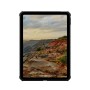 UAG Urban Armor Gear Scout LT Case für Apple iPad 11" (2025) / iPad 10,9" (2022) schwarz (124507114040)