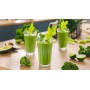 Bosch Serie 6 MMB6652B frullatore 2 L Frullatore da tavolo 1800 W Nero