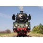 Märklin 39029 modellino in scala Modello di locomotiva Preassemblato HO (1:87)