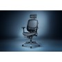 Razer Fujin Pro Seduta in rete Schienale a rete (RZ38-04940100-R3G1)