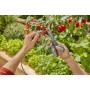 Solar-Bewsserung AquaBloom L Set (grau/trkis, fr bis zu 30 Pflanzen) (13330-20)