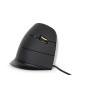 BakkerElkhuizen Evoluent C mouse Ufficio Mano destra USB tipo A Laser 2000 DPI (BNEEVRC)