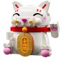 GATTO DELLA FORTUNA (40813)