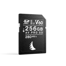 Angelbird Technologies AV PRO SD V60 MK2 256 GB SDXC UHS-II (AVP256SDMK2V60)